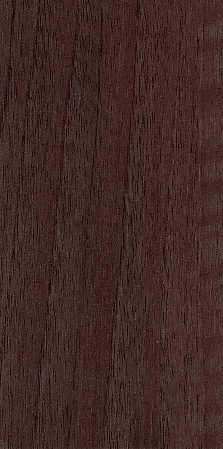 20 Siana Pn 1048L MX