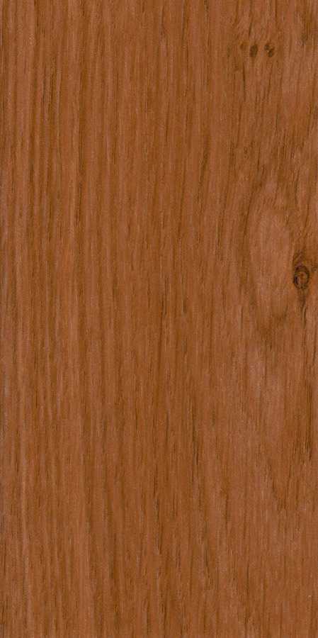 24 Winchester XA 1208L MX