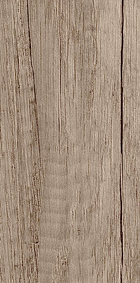 Dağ Meşesi 1892L PX