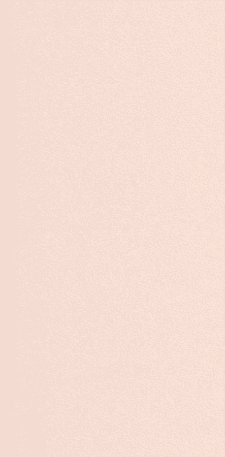 41 Krem Beyaz Mat 2084L PX